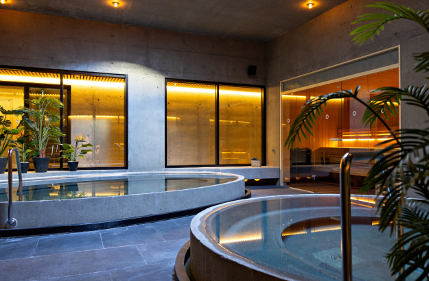 An overview of two hot tubs and a sauna with large plants and an open skylight window.