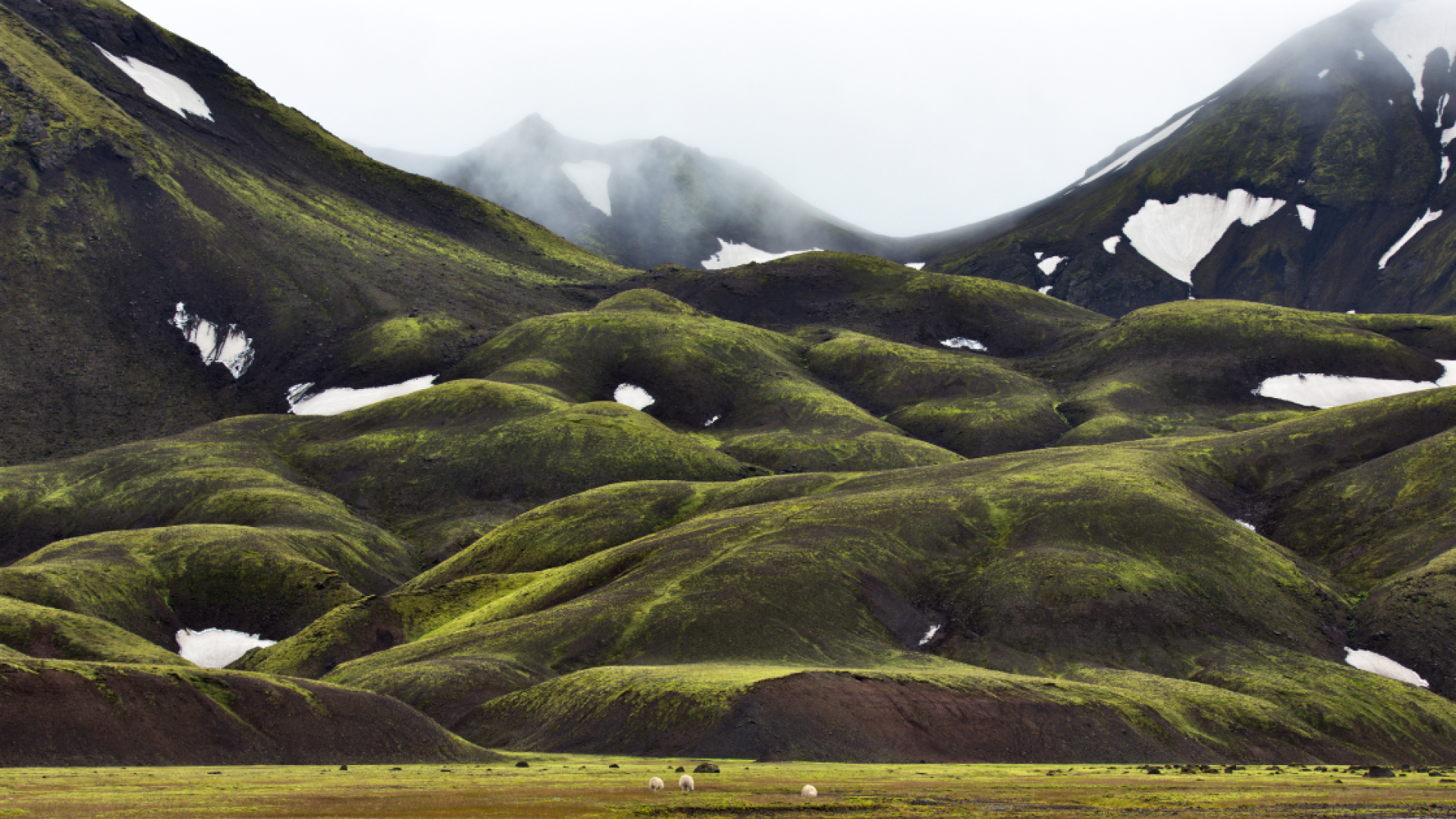 Iceland-landscape-mountains
