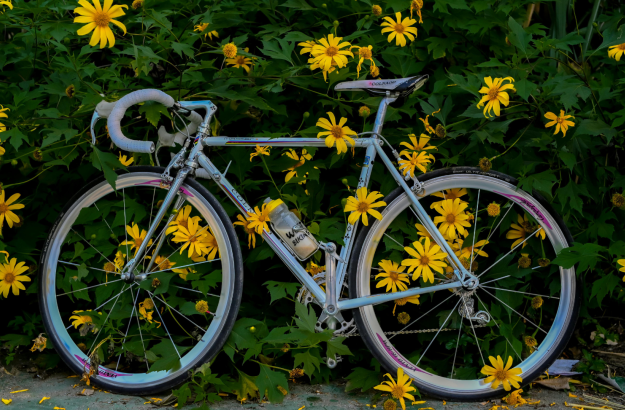 myndir-1920-x-1080-px-9