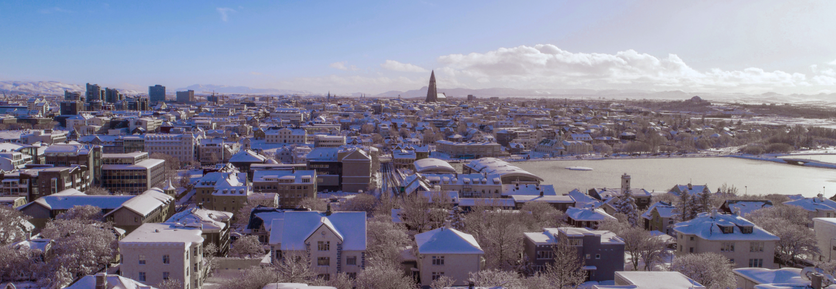 Winter view of downtown Reykjavík with snow-covered rooftops, Hallgrímskirkja church in the center, and leafless trees in the foreground.
