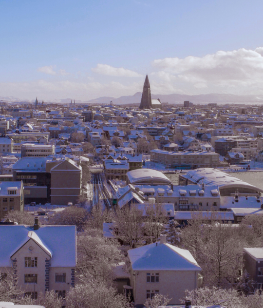 Winter view of downtown Reykjavík with snow-covered rooftops, Hallgrímskirkja church in the center, and leafless trees in the foreground.