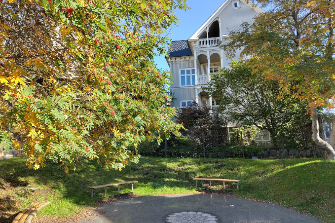 Colourful trees and benches in a peaceful Reykjavík park during autumn.