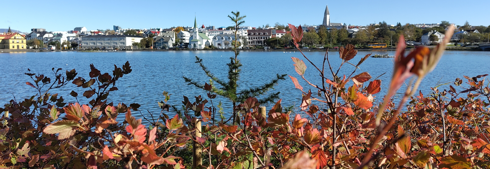 Panoramic view of Reykjavík across Tjörnin with colourful autumn foliage in the foreground.