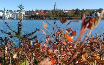 Panoramic view of Reykjavík across Tjörnin with colourful autumn foliage in the foreground.