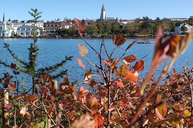 Panoramic view of Reykjavík across Tjörnin with colourful autumn foliage in the foreground.