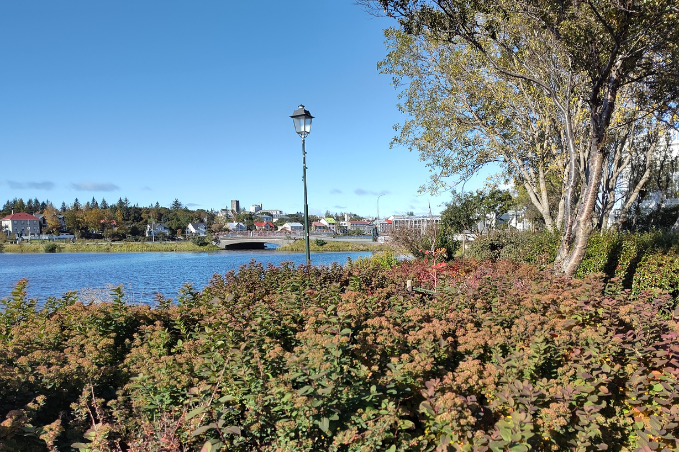 Walking path and autumn shrubs beside Tjörnin with Reykjavík in the distance.