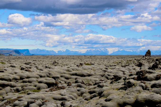 Iceland lava field covered in fragile moss