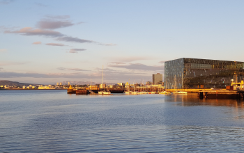 Harpa Concert Hall and moored ships at Reykjavík harbour, with golden sunlight reflecting on the calm water.