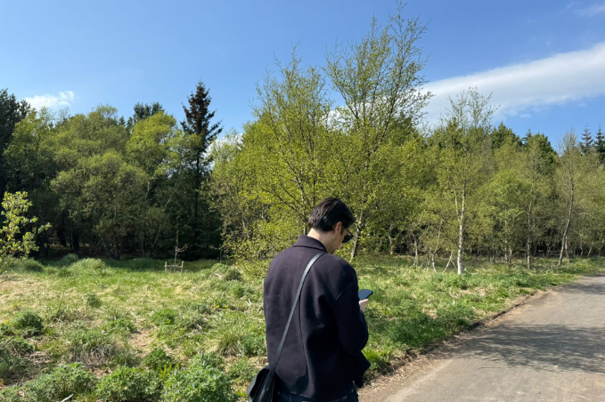 Person walking along a path beside green trees and grass in Reykjavik during spring.