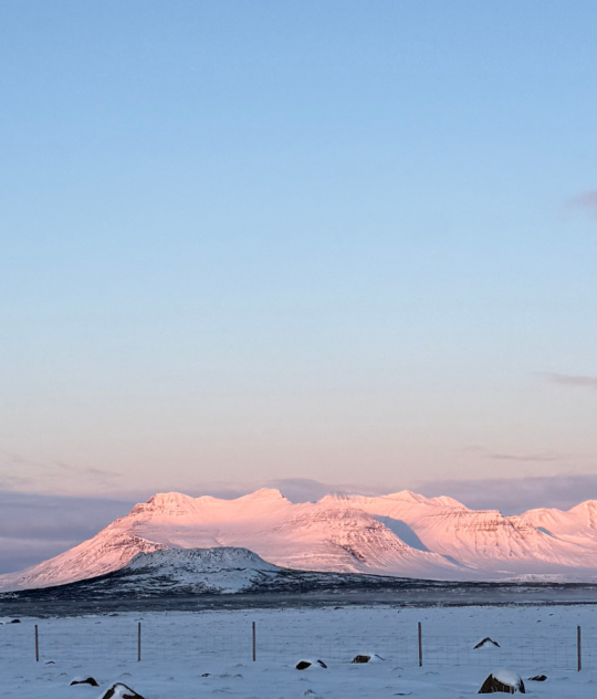 Snow-covered mountains in Iceland glowing in soft sunset light during winter