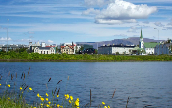 The "Tjörnin" or the Reykjavik pond during the summertime. An overview over the pond with buildings visible at the end of the pond.