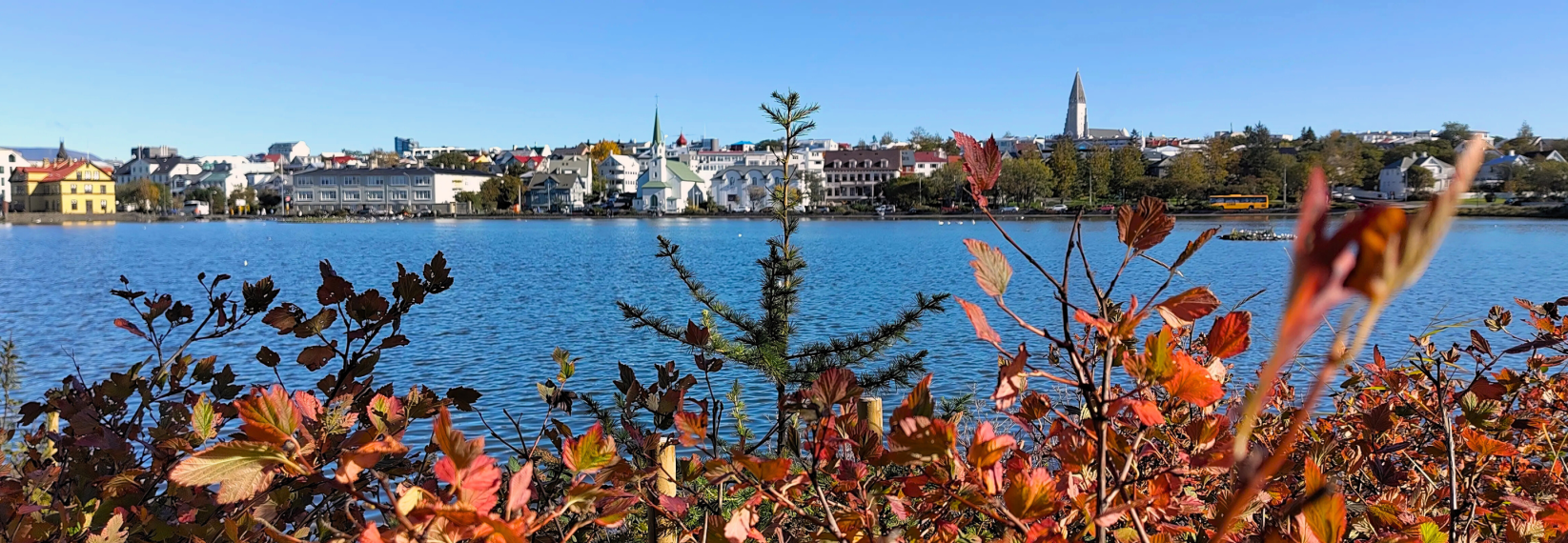 View of Reykjavik across Tjörnin Lake with autumn leaves in the foreground.