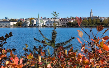 View of Reykjavik across Tjörnin Lake with autumn leaves in the foreground.