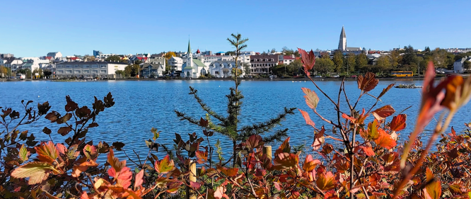 View of Reykjavik across Tjörnin Lake with autumn leaves in the foreground.