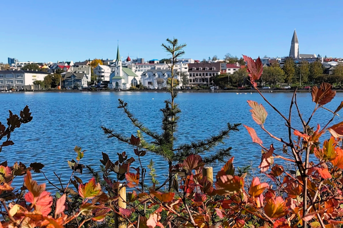 View of Reykjavik across Tjörnin Lake with autumn leaves in the foreground.
