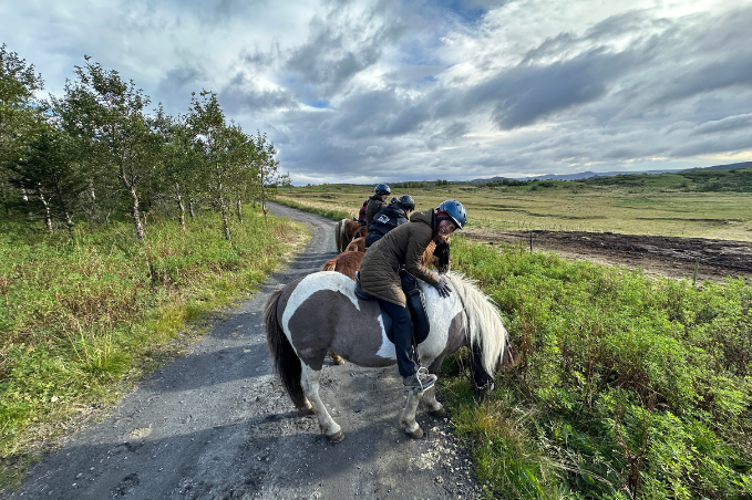 Visitors riding Icelandic horses through the countryside.