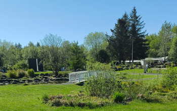 Laugardalur park in Reykjavík on a sunny day with green trees, walking paths, and a small white bridge over a stream