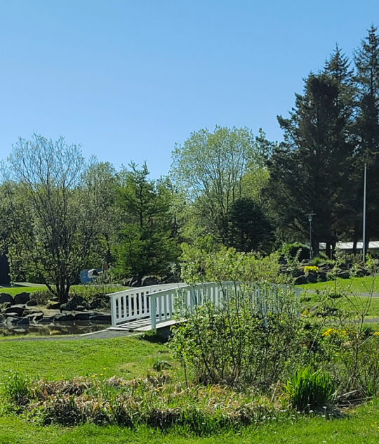 Laugardalur park in Reykjavík on a sunny day with green trees, walking paths, and a small white bridge over a stream