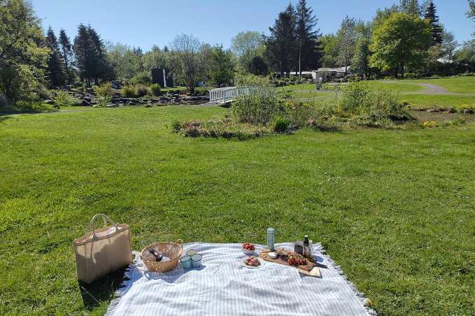 Picnic setup on a blanket in Laugardalur park in Reykjavík with food, basket, and green surroundings on a sunny day