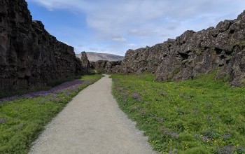 Þingvellir