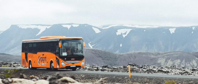 Bus Bus