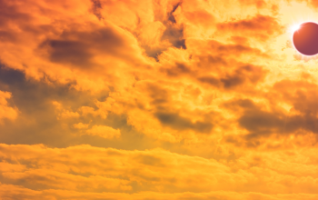 Busy Room Blog header - eclipse26