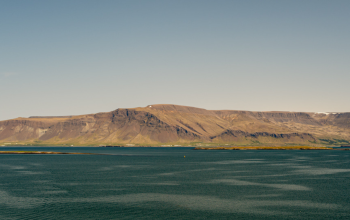 busy-room-blog-header-13