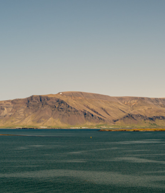 busy-room-blog-header-13