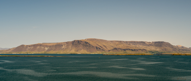 busy-room-blog-header-13