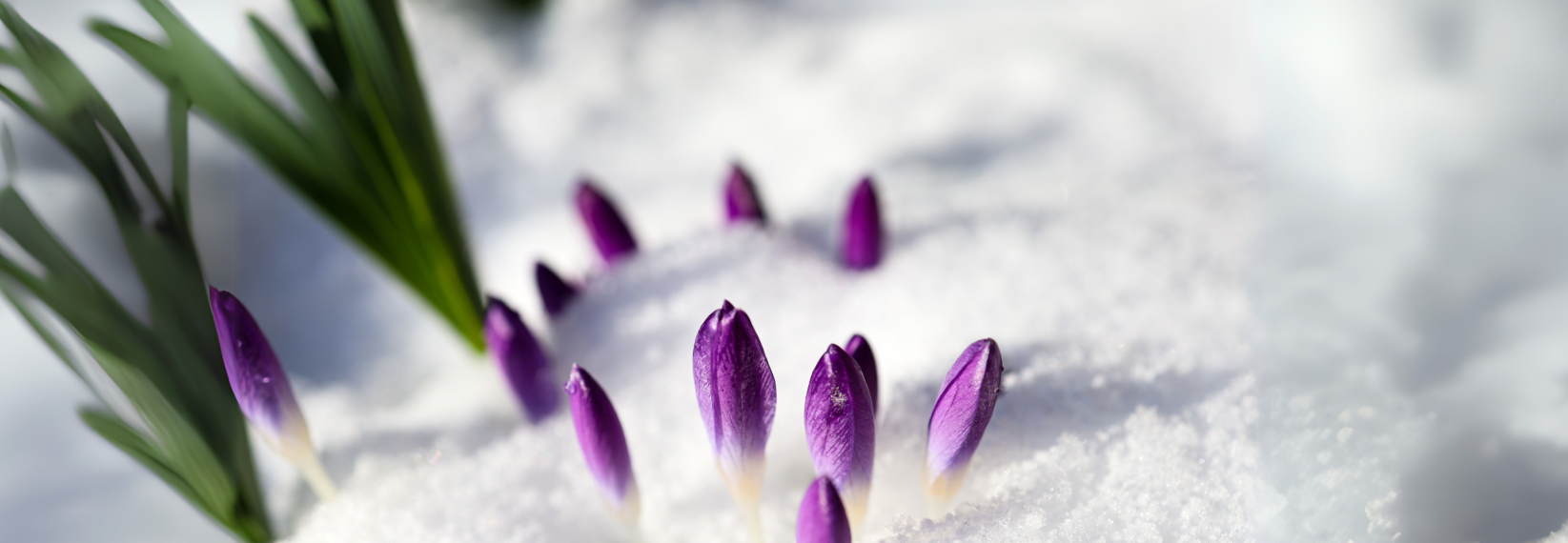 busy-room-blog-header-6