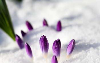 busy-room-blog-header-6