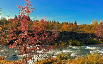 tripadvisor-travelerschoice-awards-4