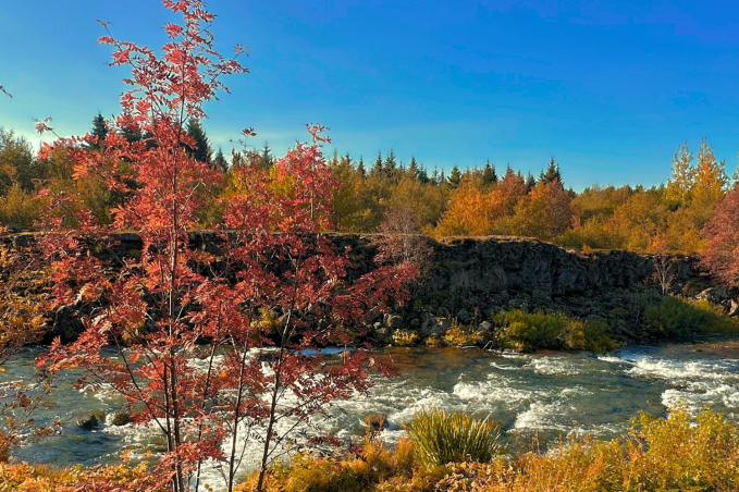 tripadvisor-travelerschoice-awards-4