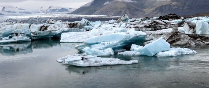 IMG_2343 IMG_2343