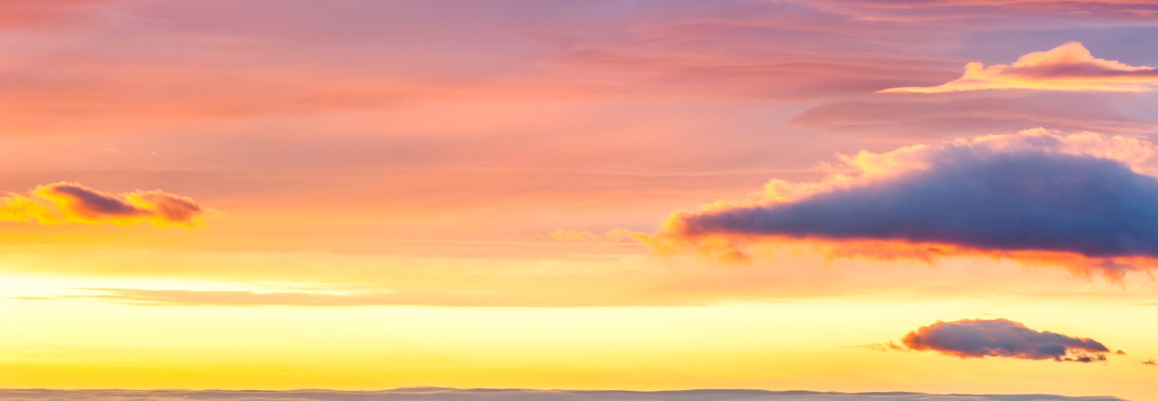 busy-room-blog-header-12