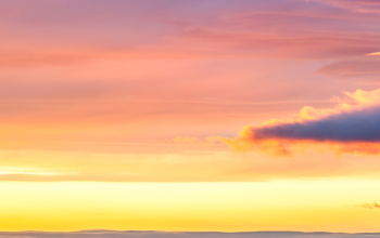 busy-room-blog-header-12
