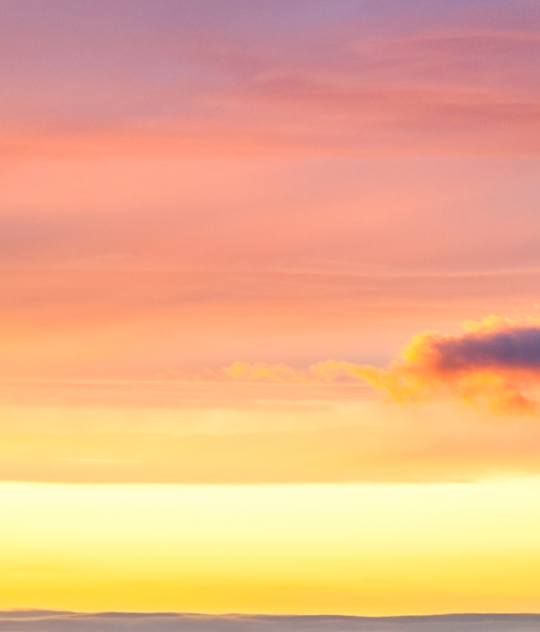 busy-room-blog-header-12