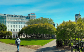 busy-room-blog-header-9
