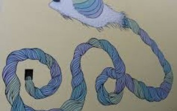 furry-flight-whats-on